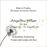 eine Anzeige