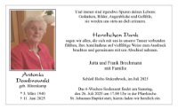 eine Anzeige