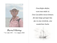 eine Anzeige